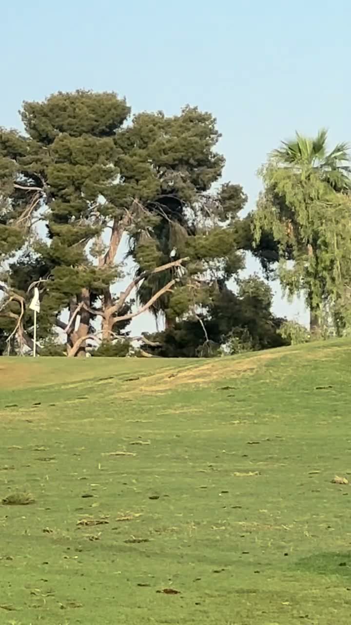 Caruso Golf Coaching on Apr 8