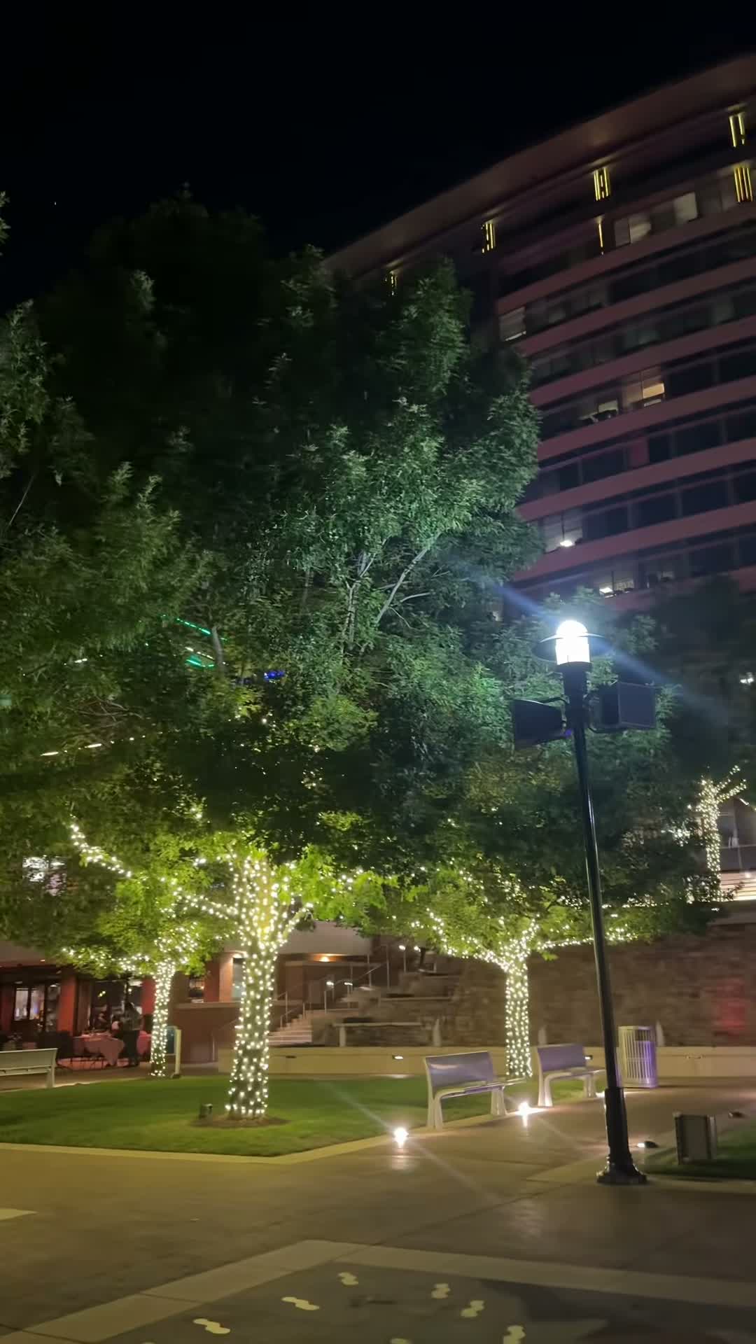 Empezó a seguirte on Jul 31