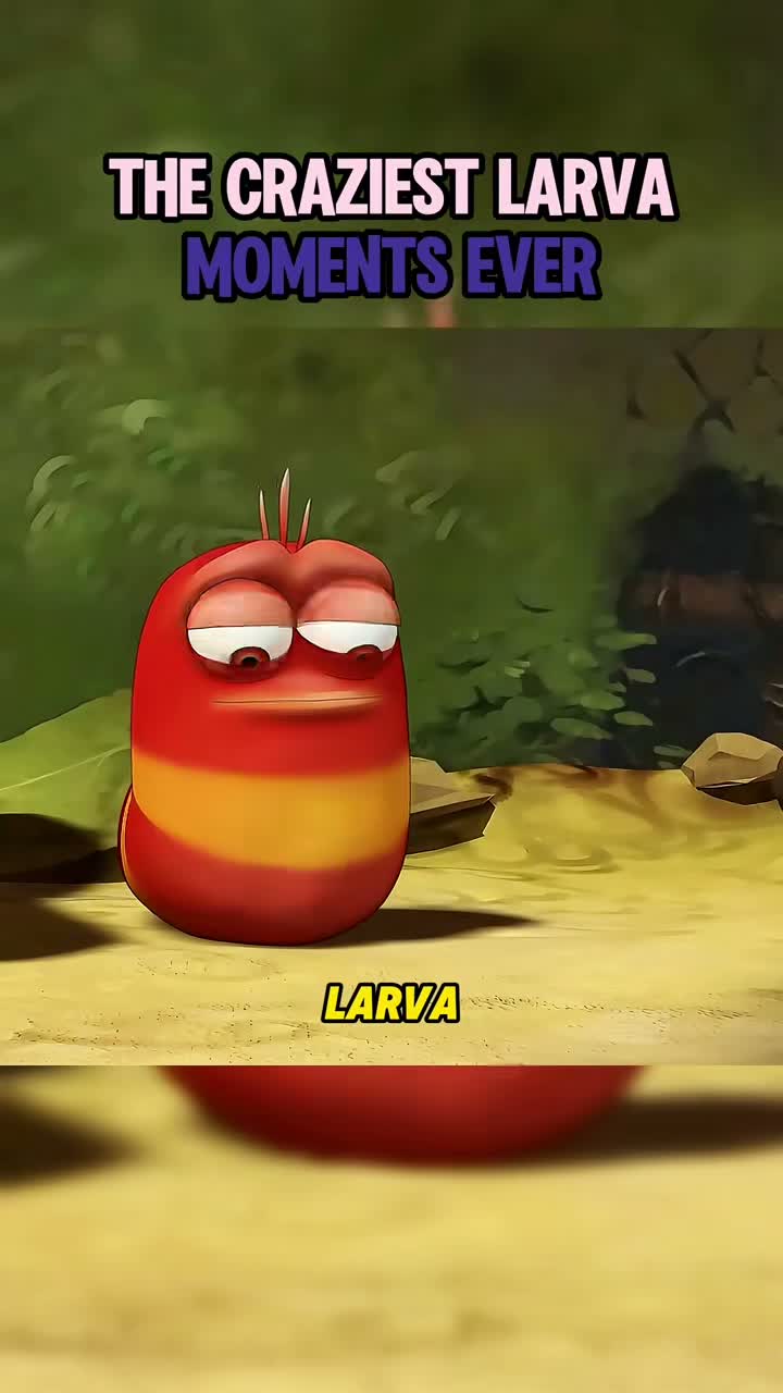 Nova verse on Jul 29