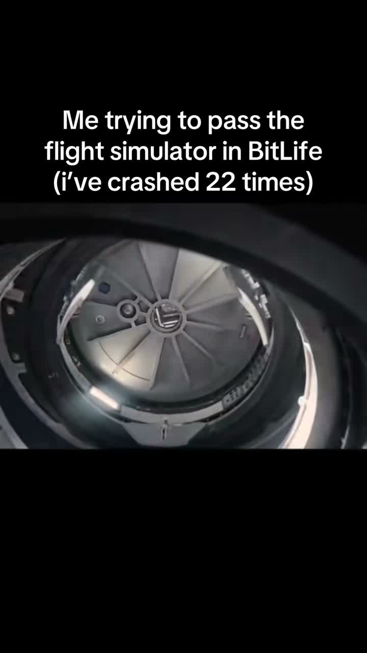 BitLife on Aug 16