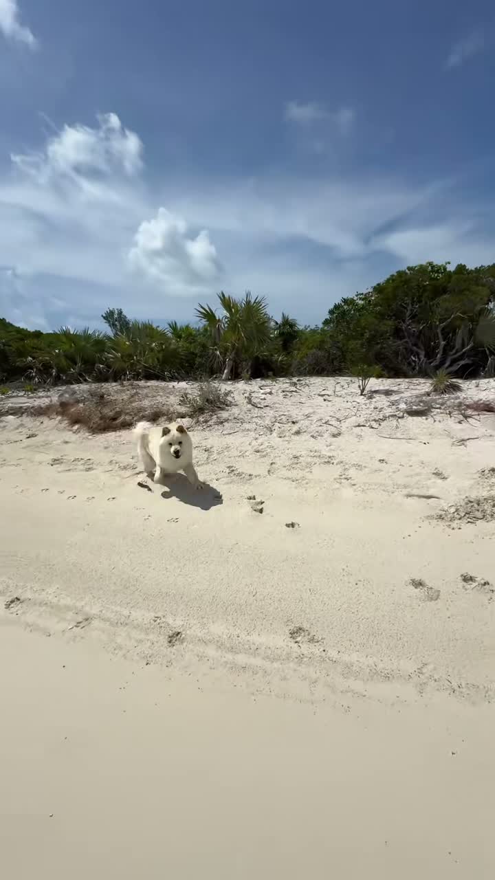 Nellie on Aug 2