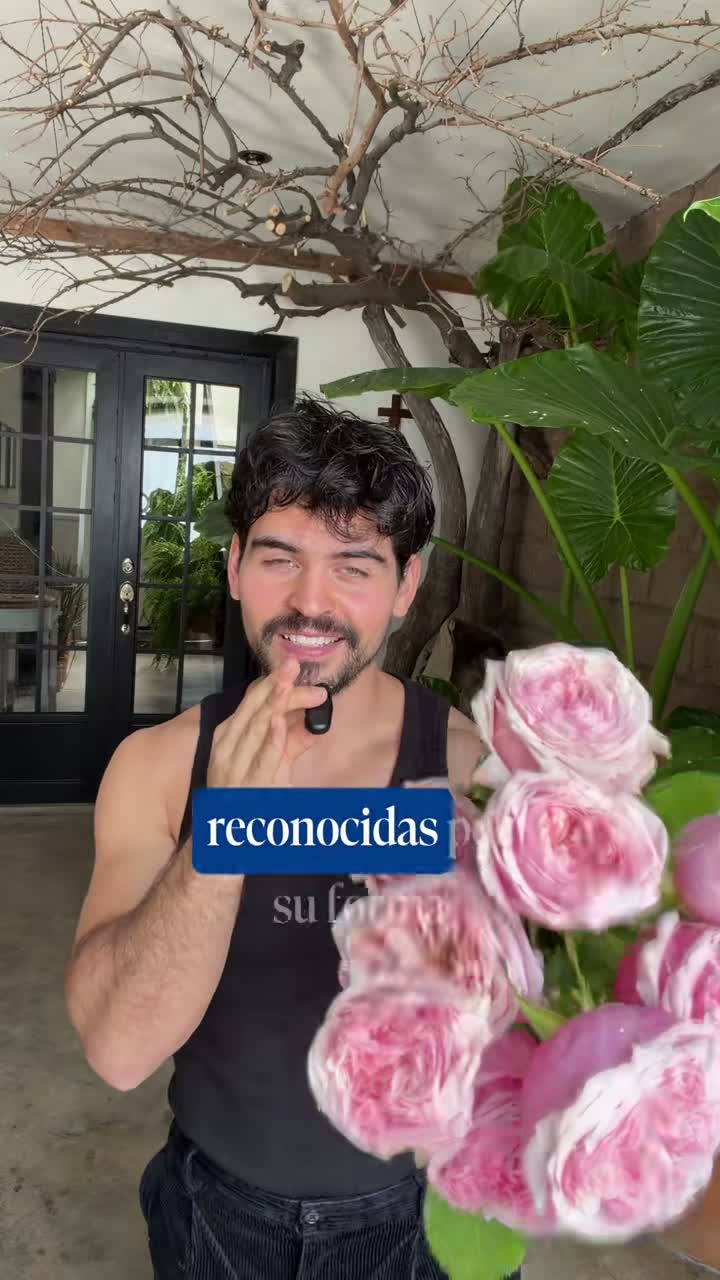 florencioroquetafs on Jul 19