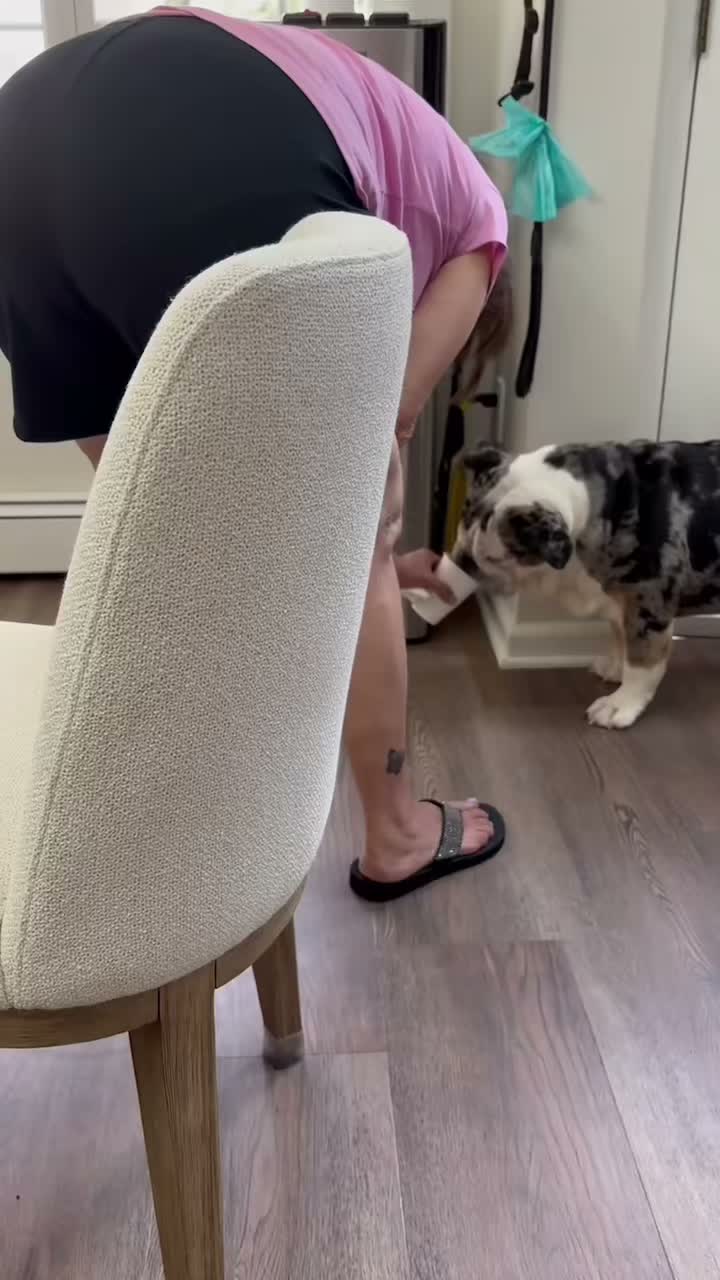 Rocky on Jul 11