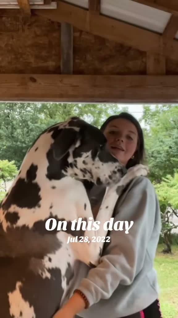 Alexis | Mom Of Both 🩷💙 on Jul 30