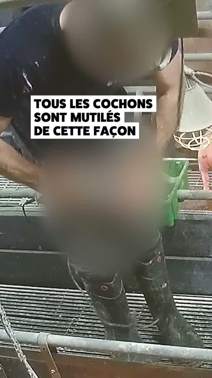 L214 Ethique et Animaux on Jul 23