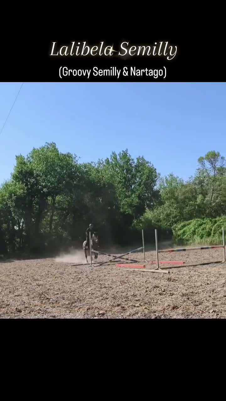 Sellerie Equinoxe on Jul 17