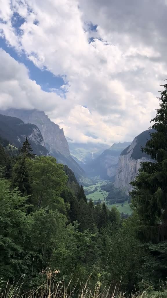 swisskyline on Aug 7