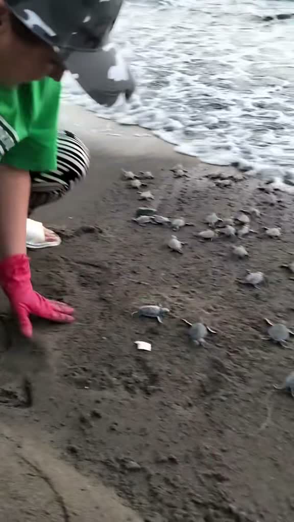 angy tortuguera on Aug 2