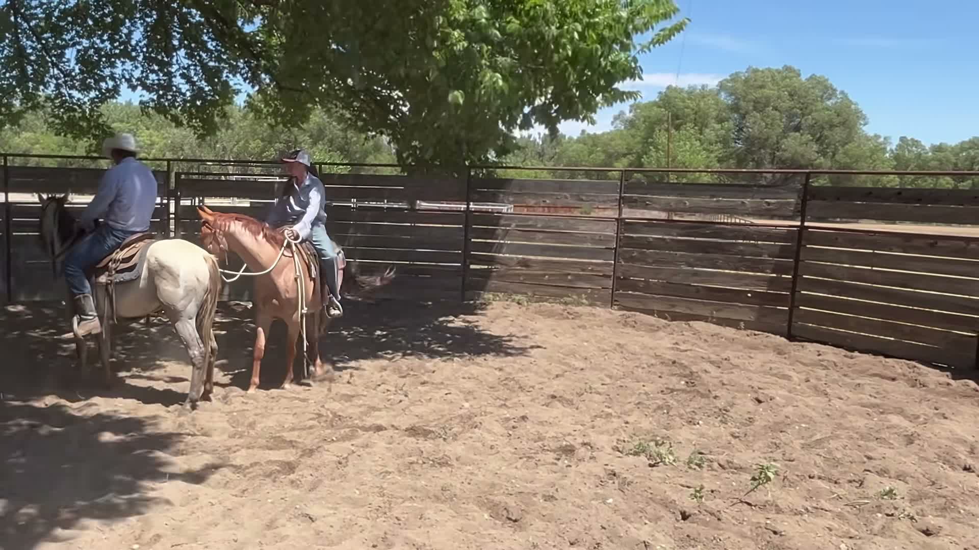 cowgirlcommentary on Aug 1