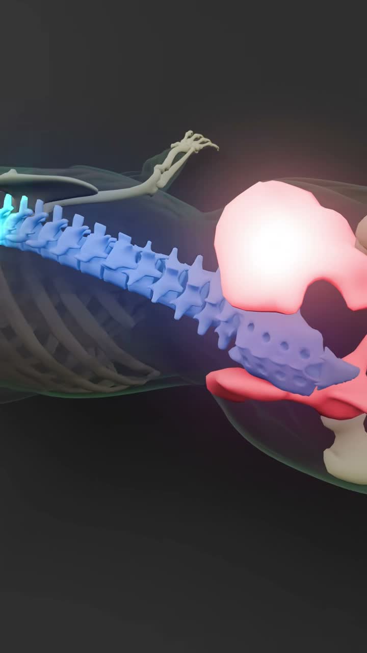 SynerMuscle on Jul 11