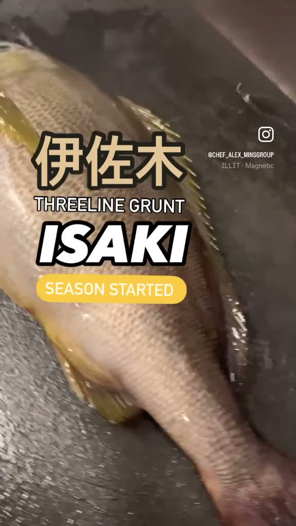 Chef_Alex on Jun 4