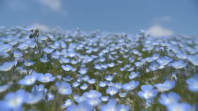 いっとさん on Mar 27