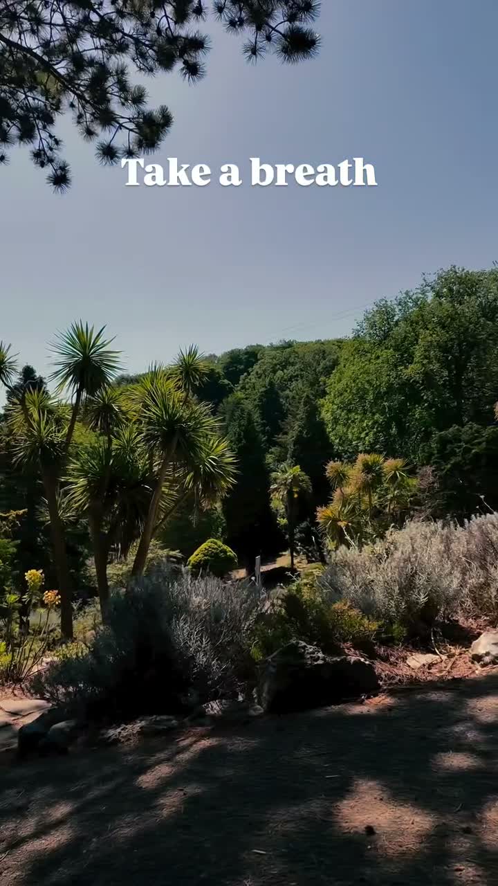 HollyDollly on Jul 19