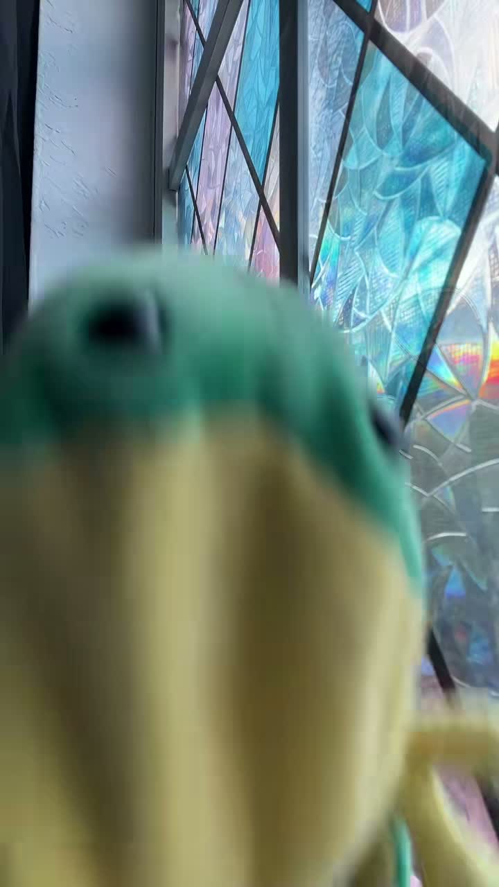 Flipple on Jul 19