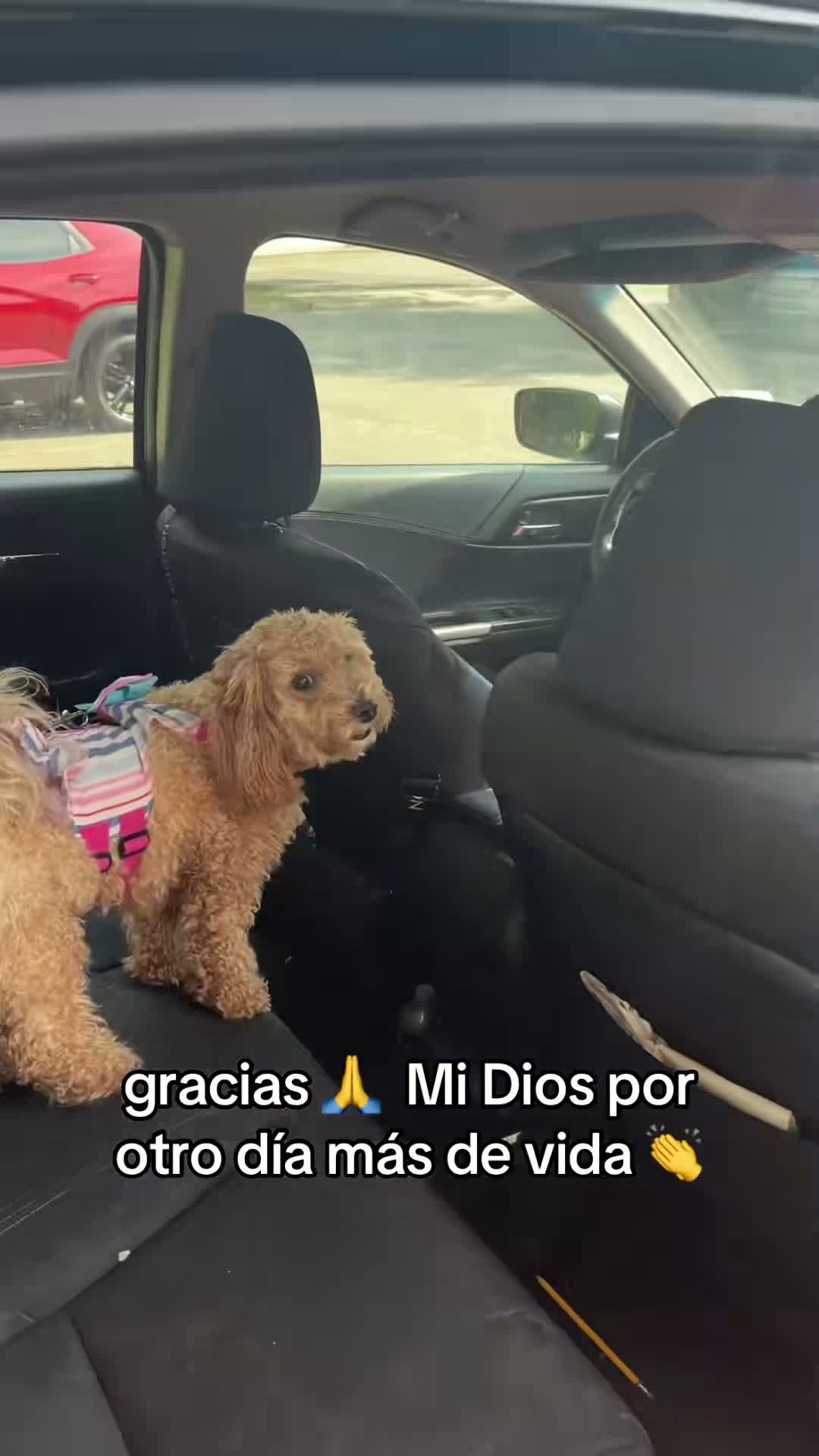 Morales Lili on Jul 17