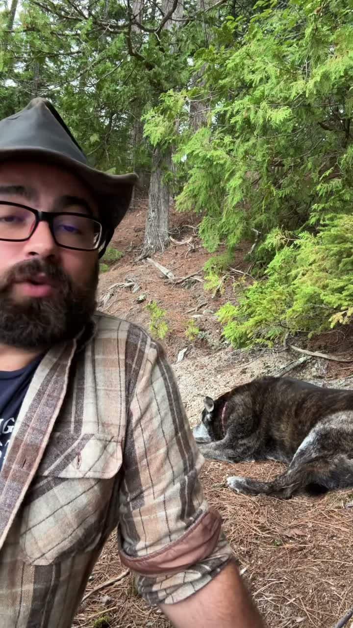 Jack on Jul 31