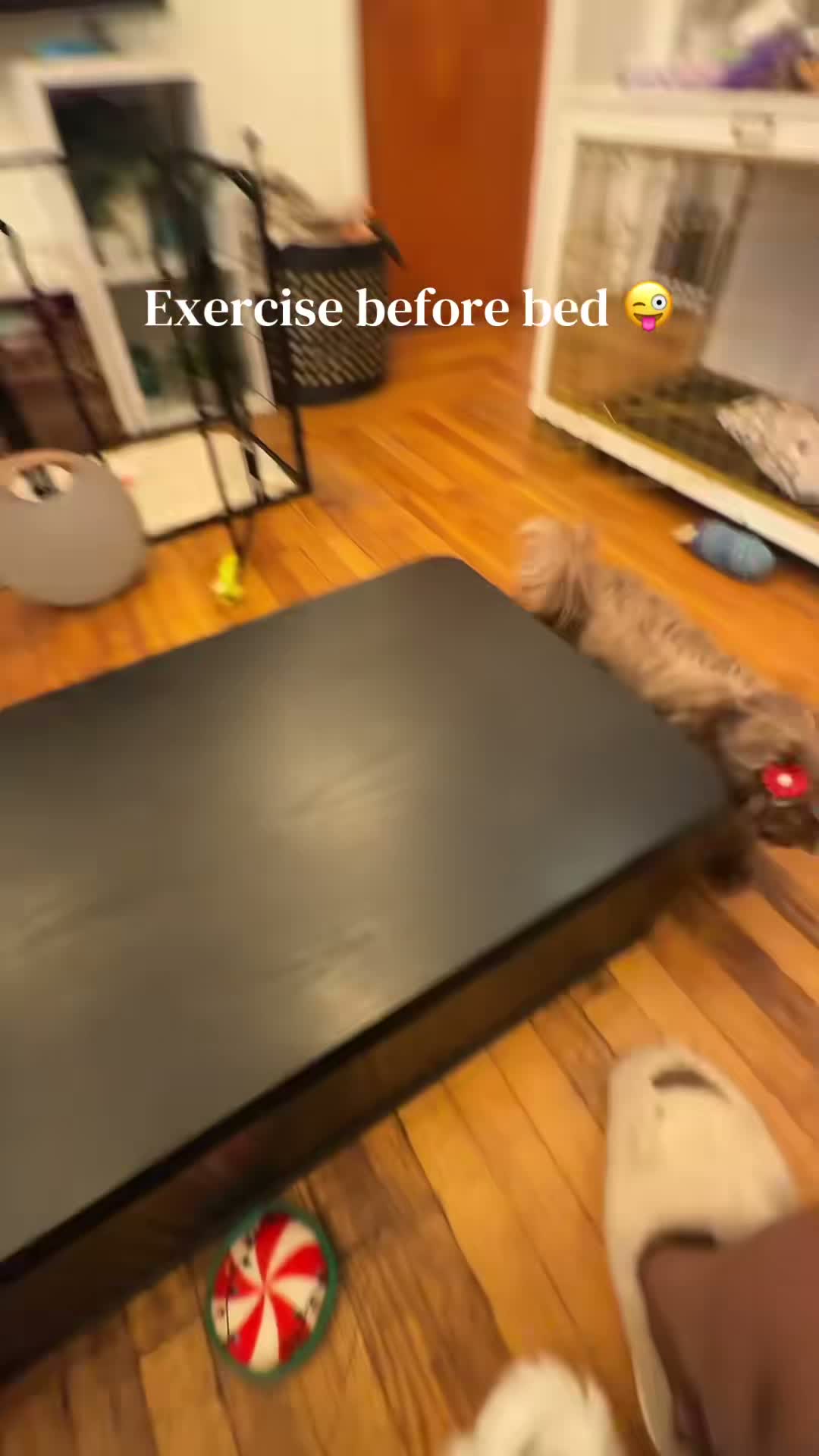 victoriatamiajames on Aug 4
