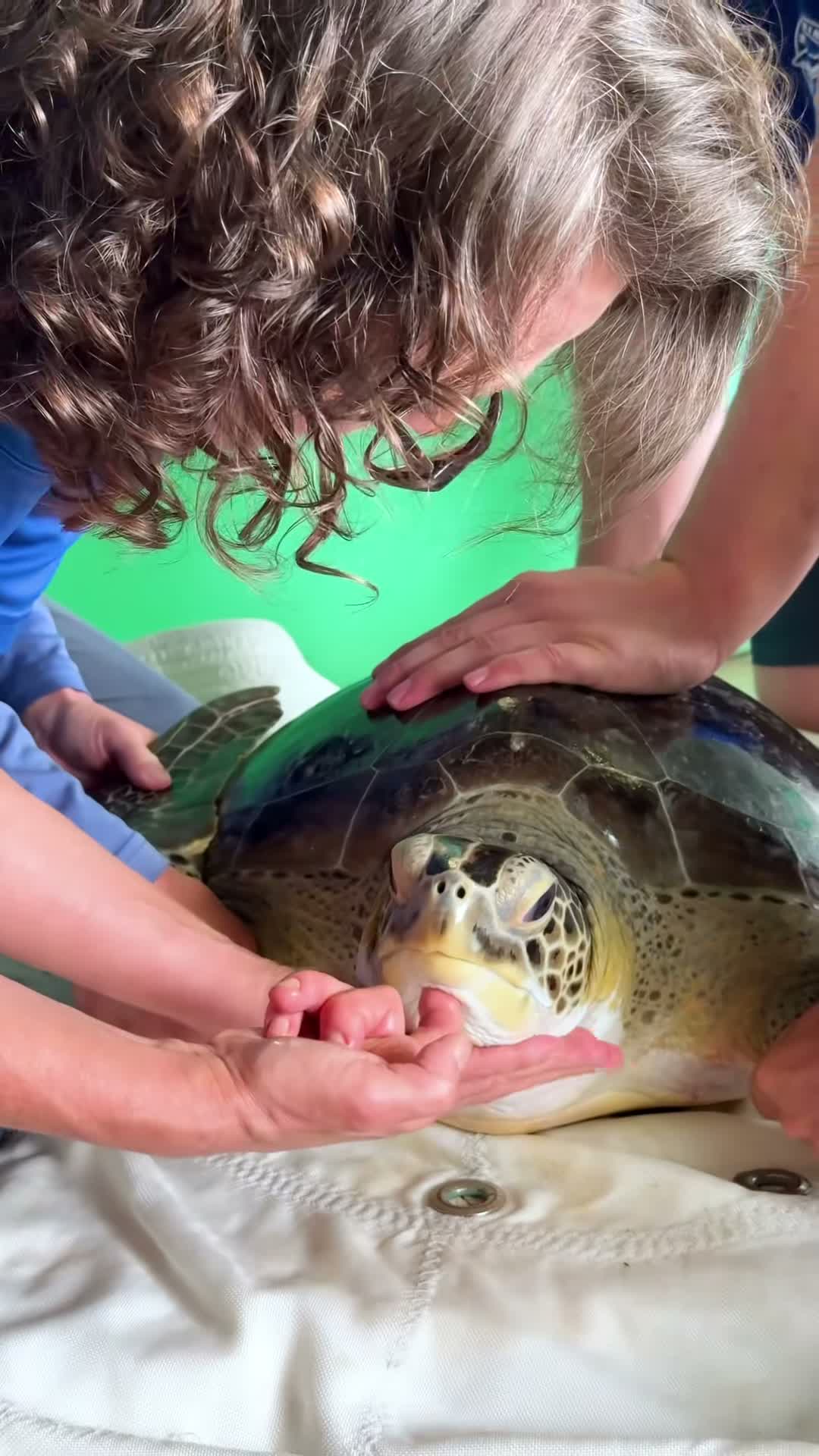 Mote Marine Lab & Aquarium on May 29