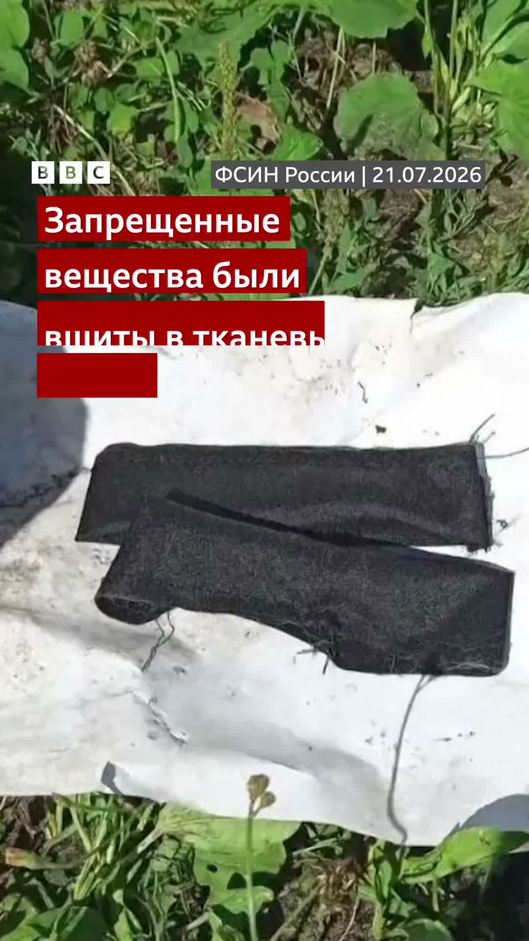 BBC News Russian on Jul 24