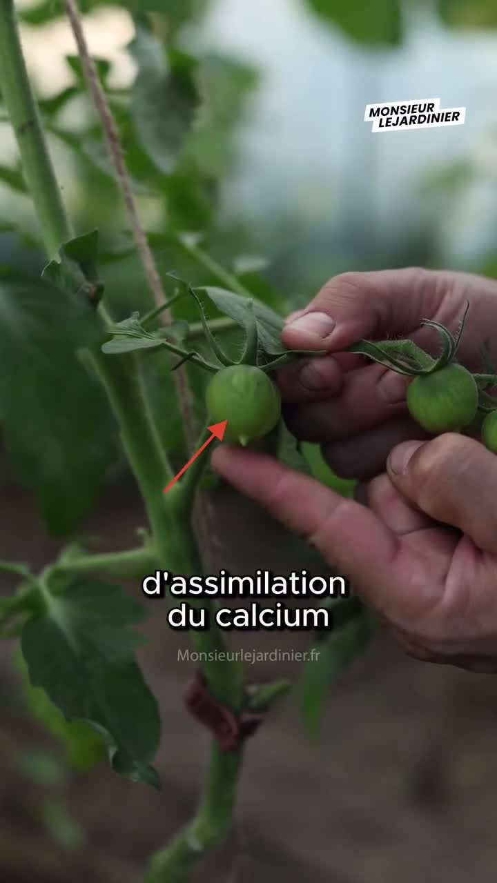 Monsieur le jardinier on Jul 3