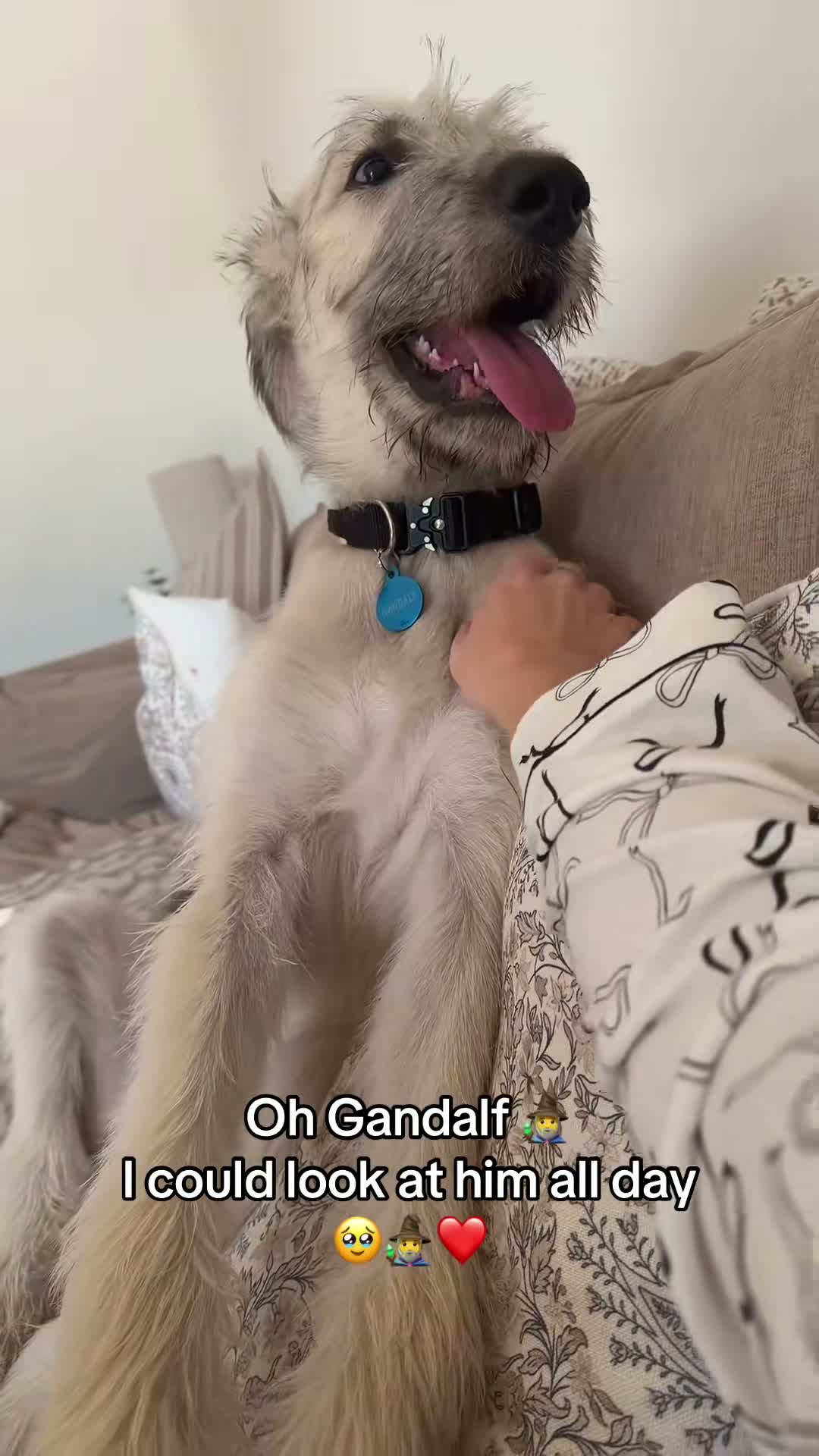 🧙‍♂️🐺 Gandalf’s Page 🐺🧙‍♂️ on Aug 3