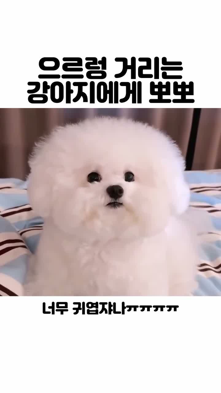 reeeeels_b on Nov 13