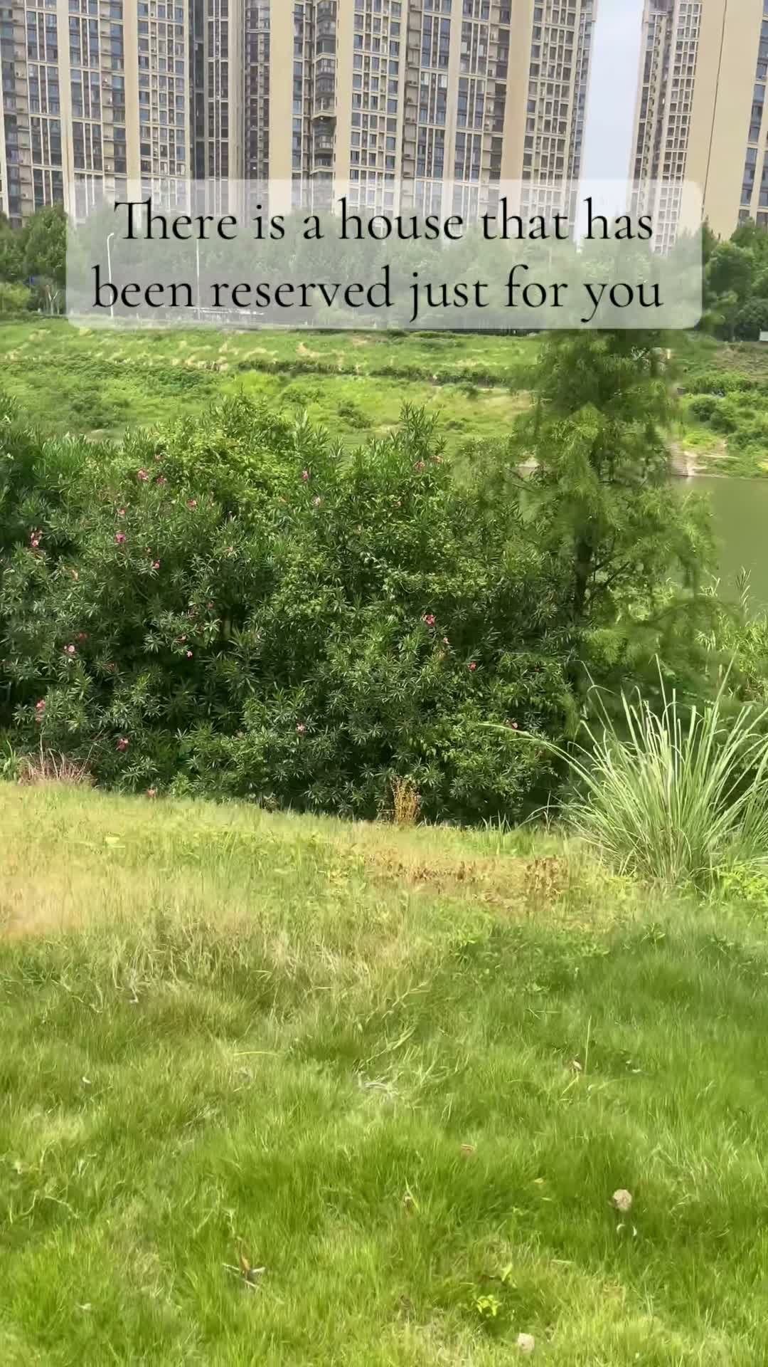 Jqbewj on Aug 17