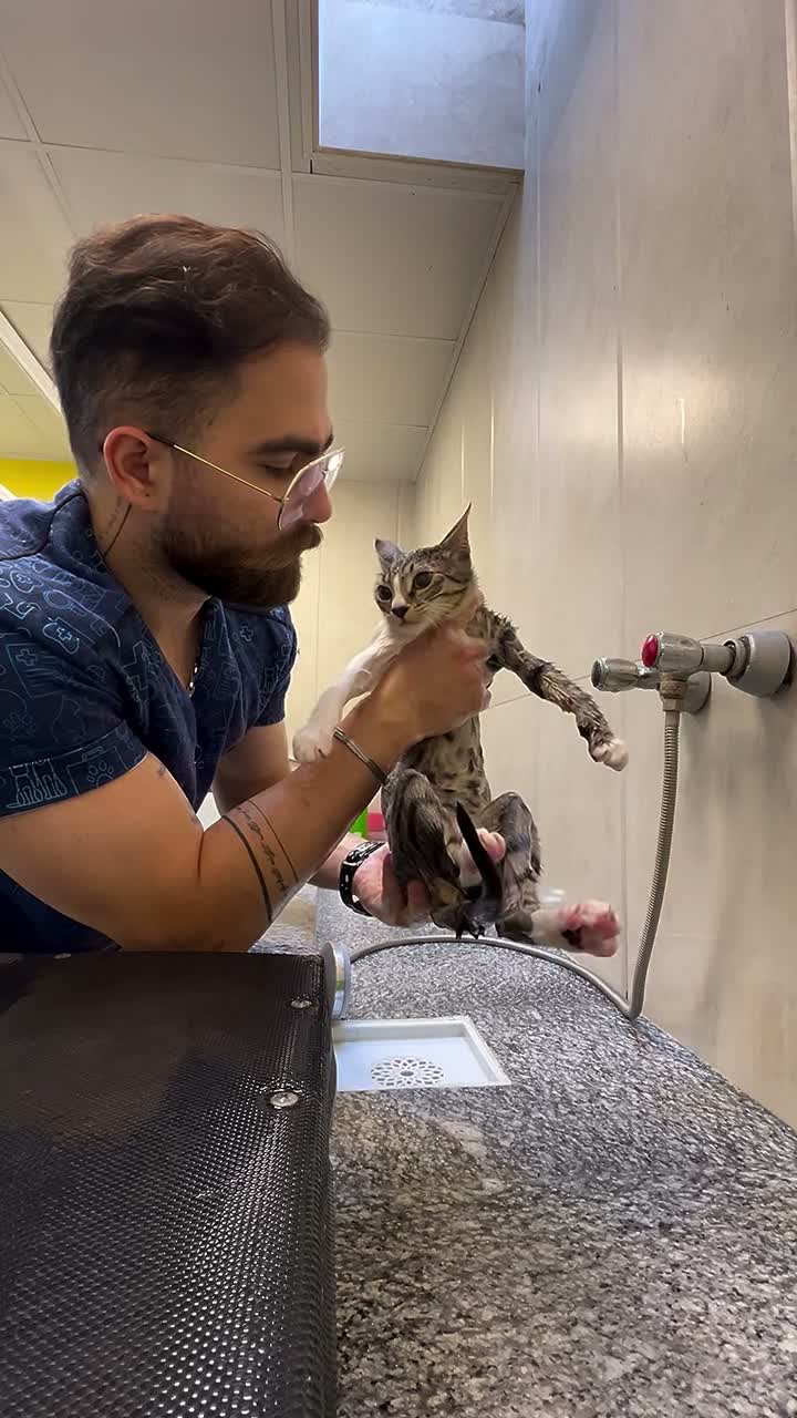 مستر پت | Mr. Pet on Aug 19