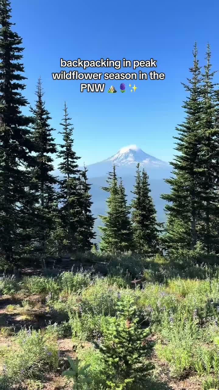 andieavery on Aug 3