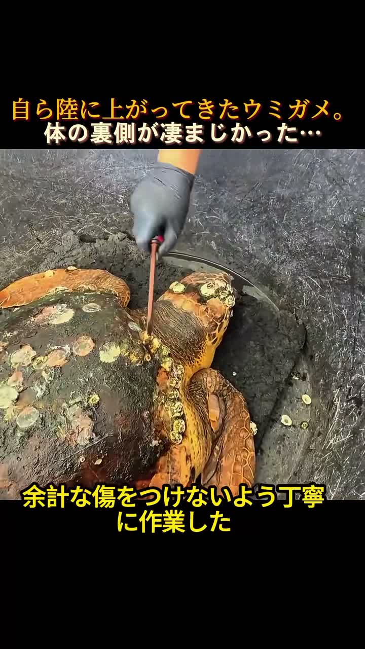 しろラボ on Aug 3